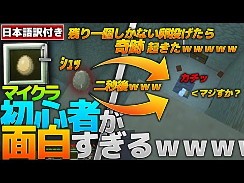 【日本語訳付き】マイクラを初めてプレイする海外配信者が面白すぎるｗｗｗ