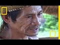 Medicinal Plants and Deforestation in Paraguay