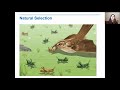 Exploring Darwin's Theory of Natural Selection