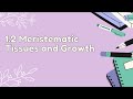 Plant Growth and Meristematic Tissues