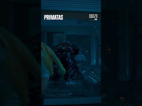 PRIMATAS | Kinuose nuo sausio 23 d. | Primate