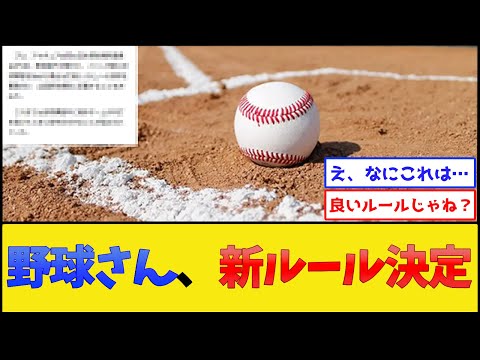 【プロ・アマ問わず】野球さん、新ルール決定【プロ野球なんJ 2ch プロ野球反応集】