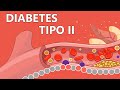Understanding Hyperglycemia and Diabetes