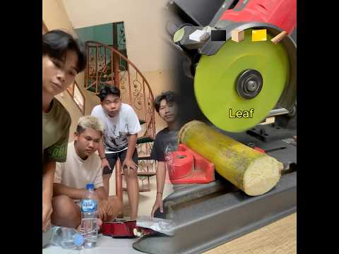 Who is most like #shorts #funny #hilarious