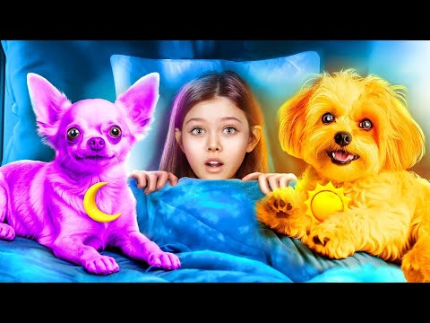 Mình Xây Ngôi Nhà Nhỏ! Pomni vs CatNap! Poppy Playtime 3!
