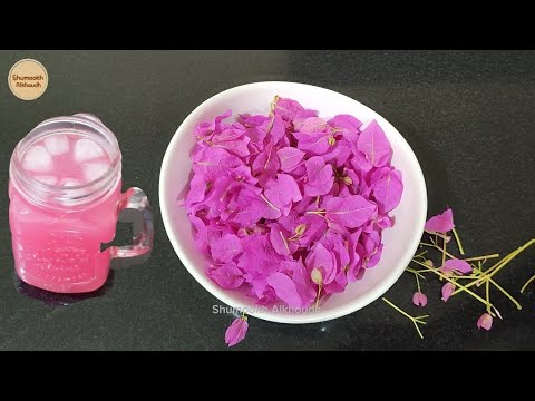 عصير ورد نبات الجهنمية Bougainvillea plant Juice