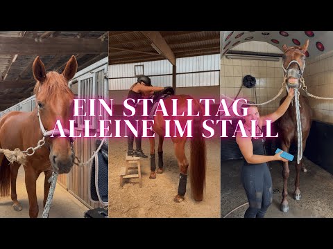 ALLEINE IM STALL  😱​😍​ | verbringe ein Stalltag mit mir | Marina Schuster