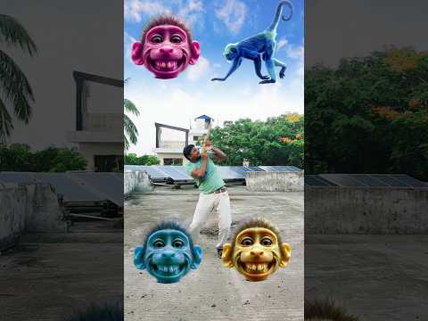 बंदर मामा आए पेंट पजामा ले देखो कुत्ता आया फिर बिल्ली आई monkey cat dog funny story VFX magic video