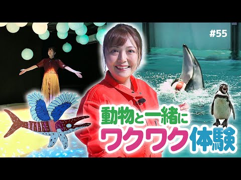 第55回 動物と一緒にワクワク体験