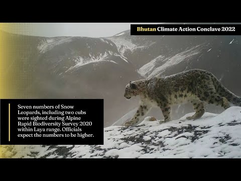 Impact of Climate Change on Snow Leopard Habitat
