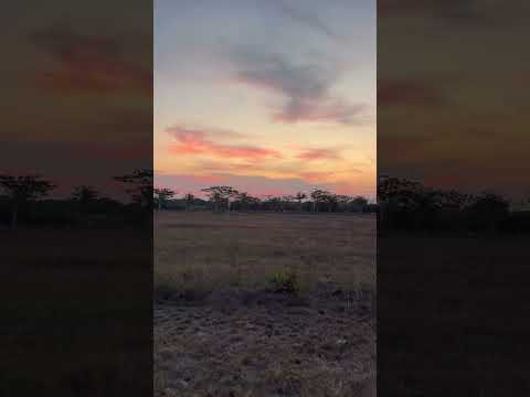 Sunset Di Depan Rumah Om #sunsetview #sunset #surabaya #surabayaexplorer #surabayakeren #indonesia