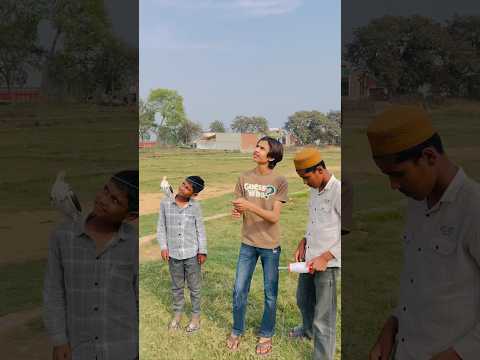 Patang 🪁 tut gayi🕊️🥰❤️#pigeon #kabutar #shorts #video #viralvideo #youtubeshorts