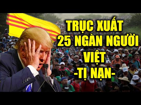 DÂN CALI -người Việt ở Mỹ CÓ ĐANG SỢ HÃI với 8 lý do khiến Trump TRỤC XUẤT LỚN NHẤT LỊCH SỬ MỸ?