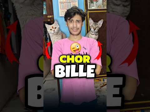 Ye Dono Chor Hai 💀😱 #shorts #minivlog #ashortaday #vlog #tranding #cats #cat