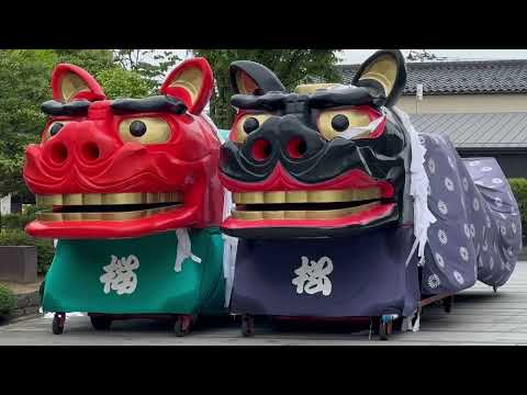 2025年酒田祭り本祭りで獅子パックンが披露される様子 サムネイル