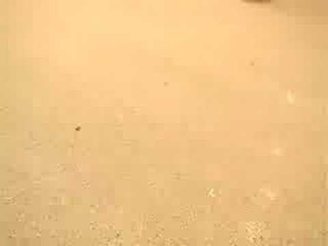 Oesterreich_Skate_Video