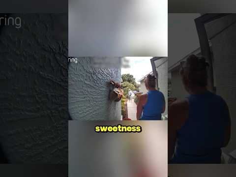 She Cried After Seeing The Old Couple 🥺