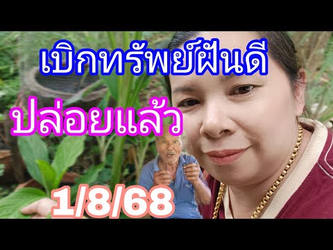 ปล่อยด่วนฝันดีงวดนี้จัดหนักก่อนอั้นวงใน1/8/68