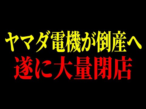 家電量販店はもうオワコン？業界トップのヤマダ電機の現状が悲惨すぎる件について…【ゆっくり解説】