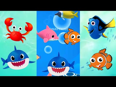 Happy Animals Sea dance at Seaworld | Baby Shark Dance Song | Dolphin octopus colors fish