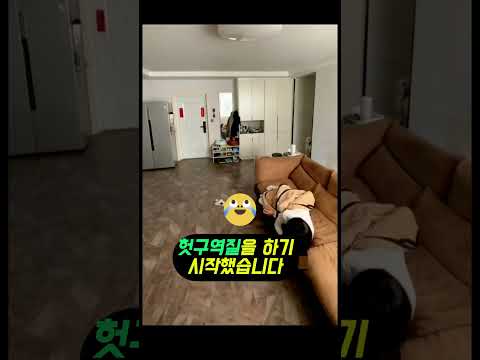 (2천만뷰) 강아지의 행동을 보고 여주인이 오열한 이유 ㄷㄷ