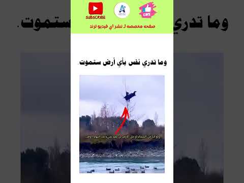 اللهم حسن الخاتمة #اكسبلور