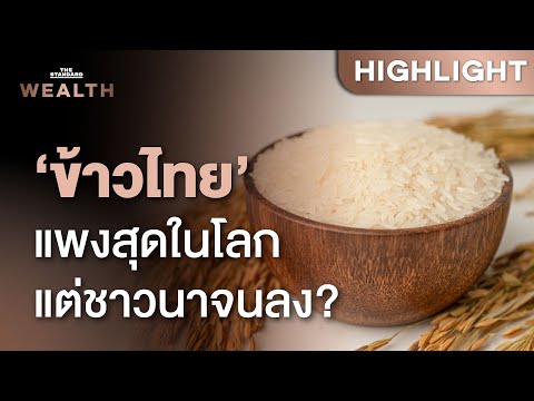 เจาะวิกฤต ‘ข้าวไทย’ แพงสุดในโลก แต่ทำไมชาวนาจนลง? | THE STANDARD WEALTH
