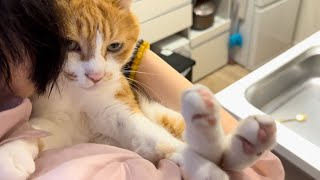 ママと猫の１０日ぶりの感動??の再会。