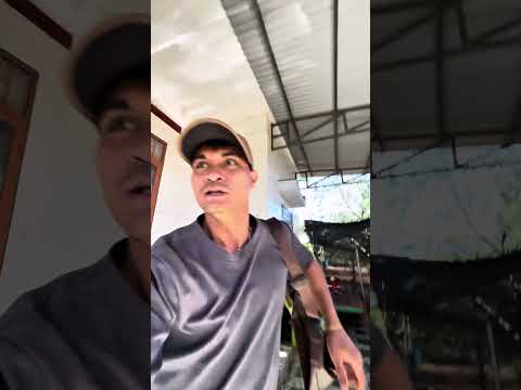 Bobo thái người ta mà cũng lấy #shorts