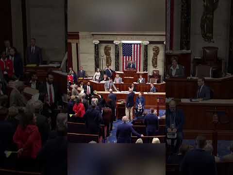 Moment US House passes Ukraine aid package | DW Shorts