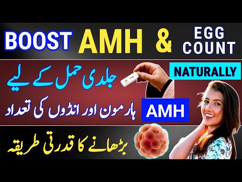 How to Boost Egg Count and AMH Levels Naturally |How To Increase Low AMH To Get Pregnant Fast