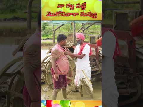 నా గల్ల పట్టే మోగోనివారా #comedy #trending #trolling #viral #funny #fun #shorts #asmr #palleramulu