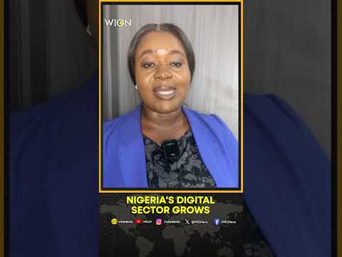 Bosun Tijani: Nigeria’s Digital Economy Attracted $191m FDI in Q1 2024 | WION Shorts