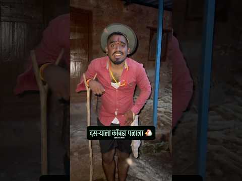 दसऱ्याला कोंबडा पळाला #comedy Nikhil Sakpal