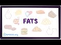 Understanding Fats and Fatty Acids