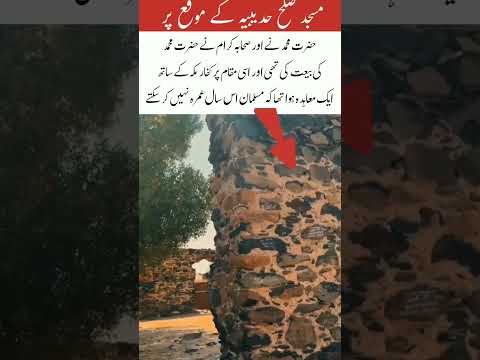 masjid salahuddin videos #trending #trendingshorts #islmicvideo #trendingnow