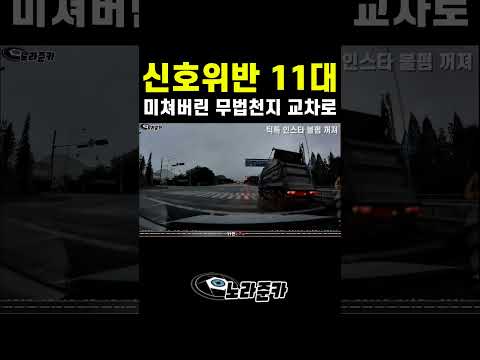 무법천지 신호위반 교차로 #교통사고블랙박스영상