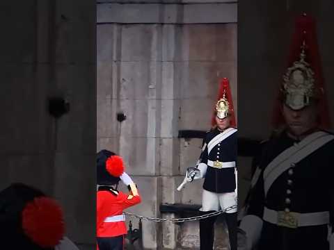 This Little Guard Walked Up to a Real One… You Won’t Believe His Reaction! #shorts #emotional