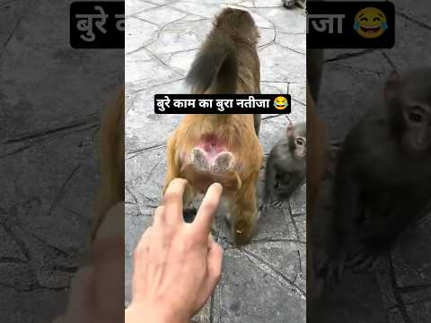 बुरे काम का बुरा नतीजा 😂 Today's Shocking News 😱 #banaraslitfest #shortsfeed #jaishreeram #shorts 1👓