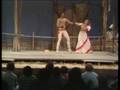 Petruchio's Perspectives on Kate