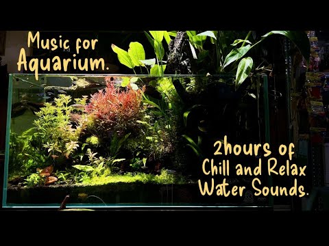 2Hours of Music for Aquarium,Chill and Relax Music,Water Sounds,Fish Tank Music,