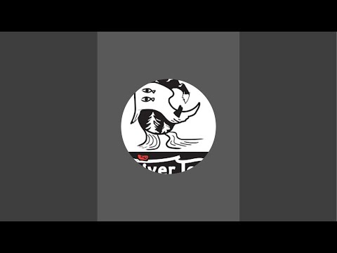サーフィンLive