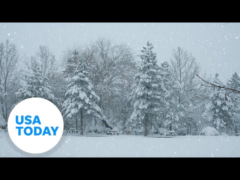 How rare is a white Christmas in the United States?