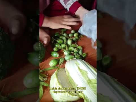 sayuran harga 10 rb dapat seabrek #shorts #budidayatanaman #vegetables #pasar #sayuran #viral #kebun