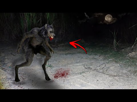 O VELHO SE TRANSFORMOU EM LOBISOMEM EM PLENA LUA CHEIA: A Maldição é Real 🐺🌕