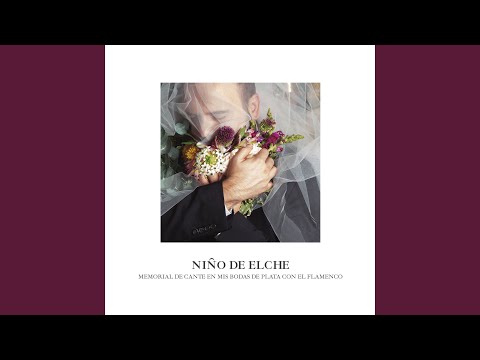 Posesión por Seguiriyas