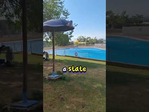 Helicopter Takes Water From Private Pool (@emepoli) #shorts