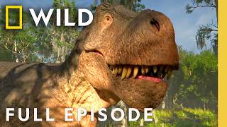 Thumbnail for the video "How Did the T-Rex Become King of Dinosaurs? (Full Episode) | Lost Beasts Unearthed | Nat Geo Animals" from Nat Geo Animals