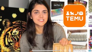I Tested Temu's MAD Cheap Art Supplies (was this a scam?)