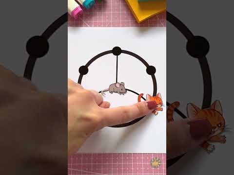 المطاردة بدأت 🐱💨🐭